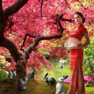 XPOSE Lifestyle - Rabbit Year